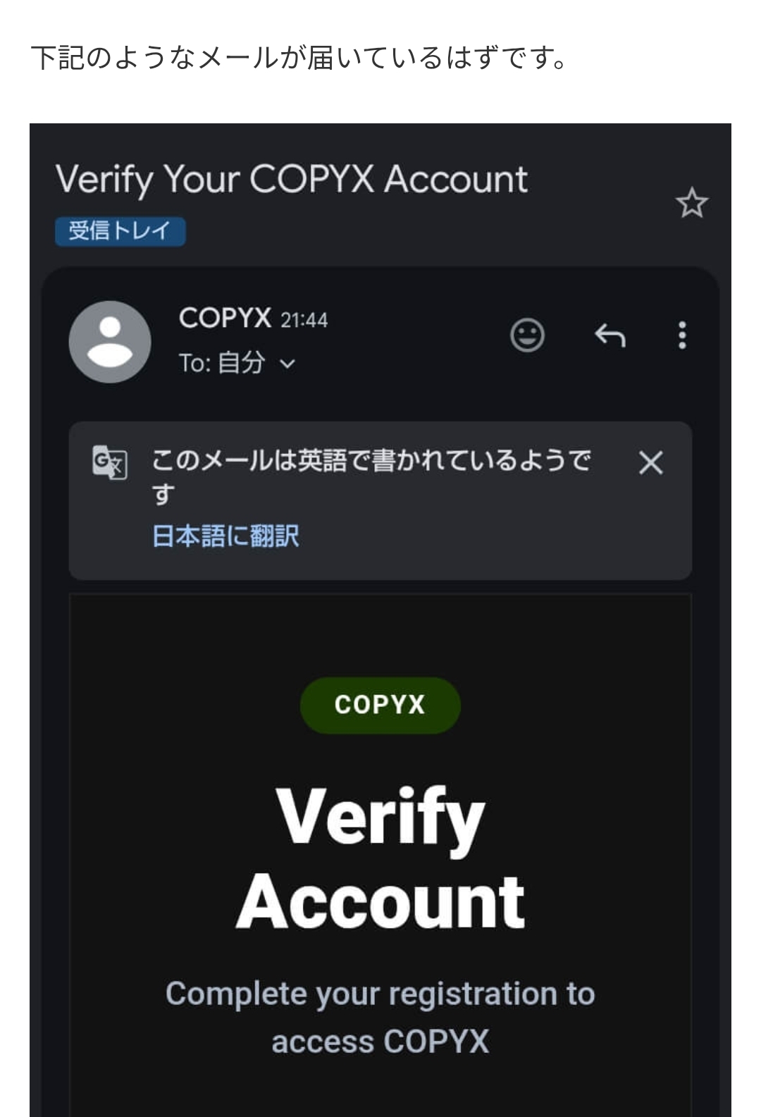 画面 4: 完成邮箱验证并登录