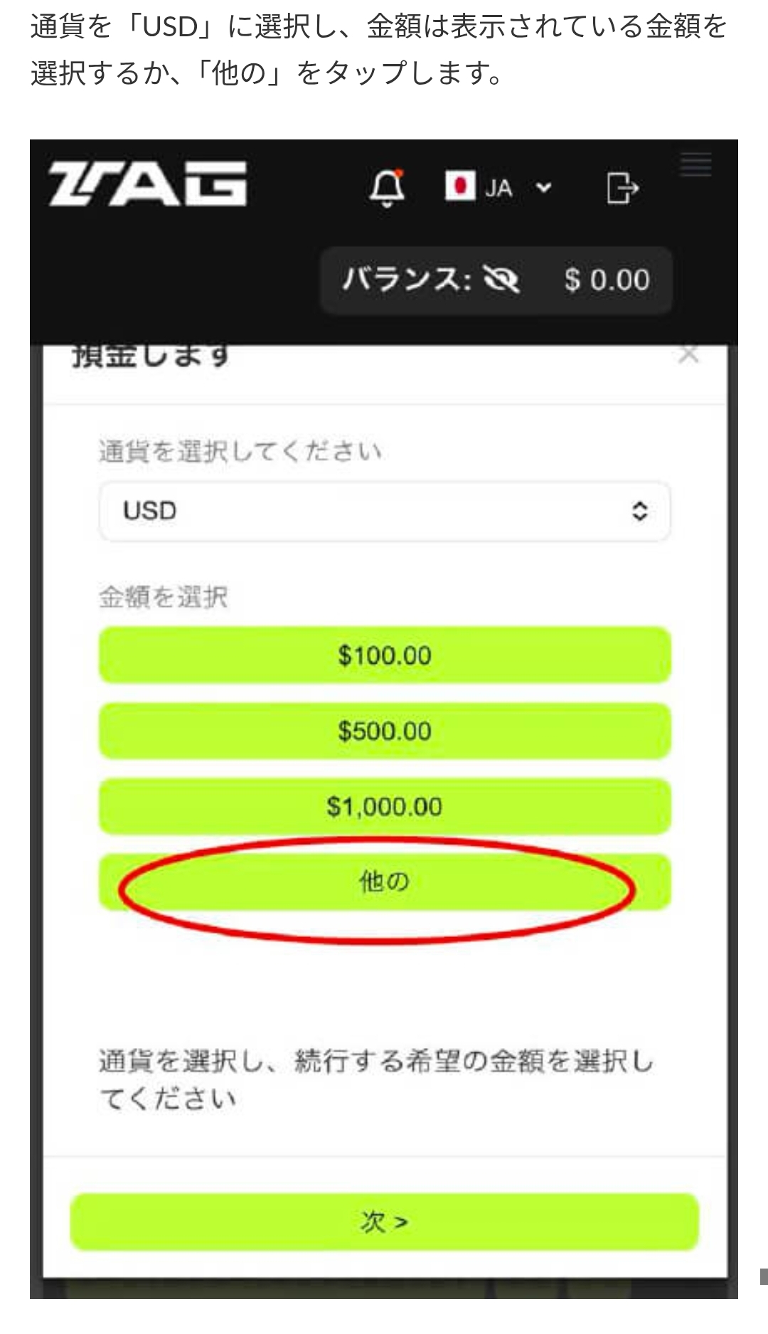 画面 2: 核对入金页面与转账条件
