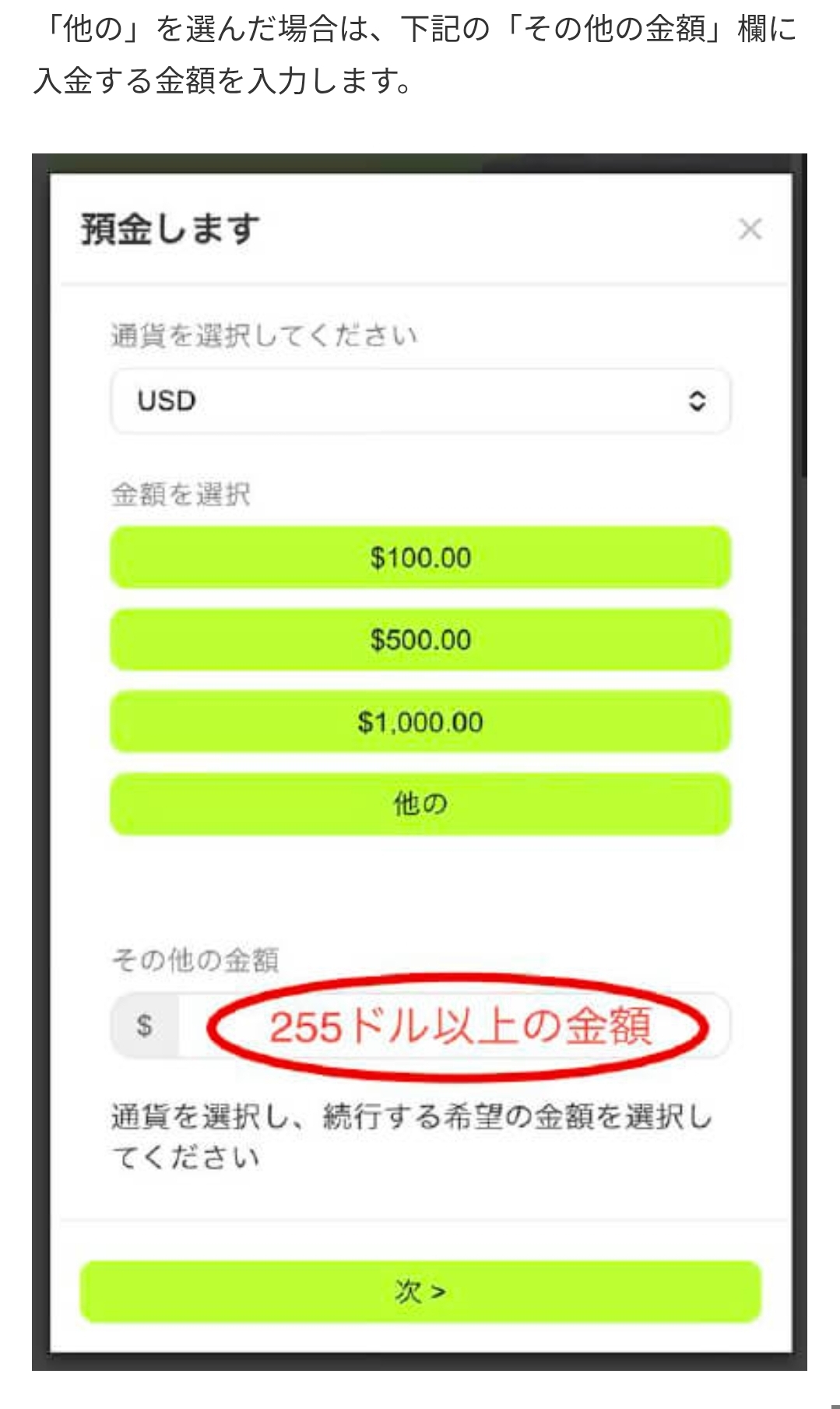 画面 3: 核对入金页面与转账条件