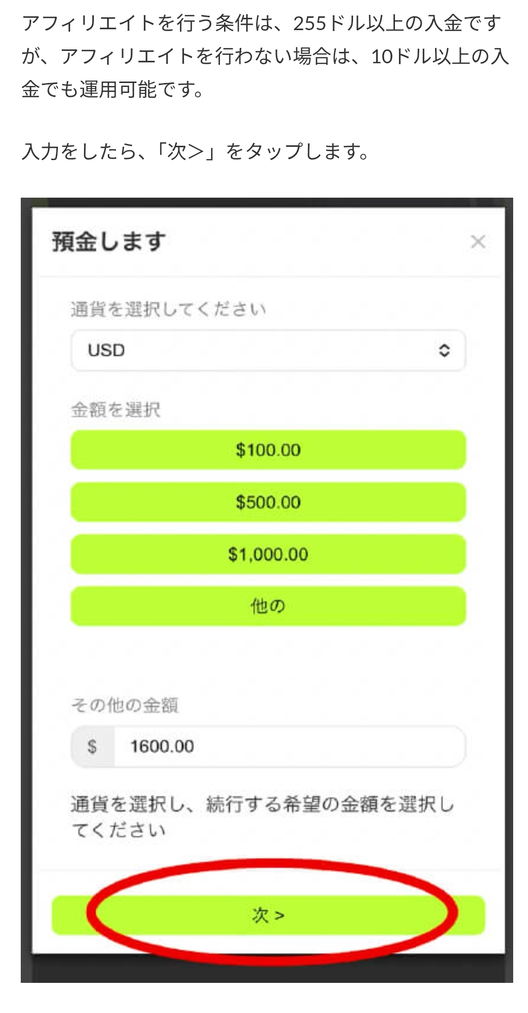 画面 4: 核对入金页面与转账条件