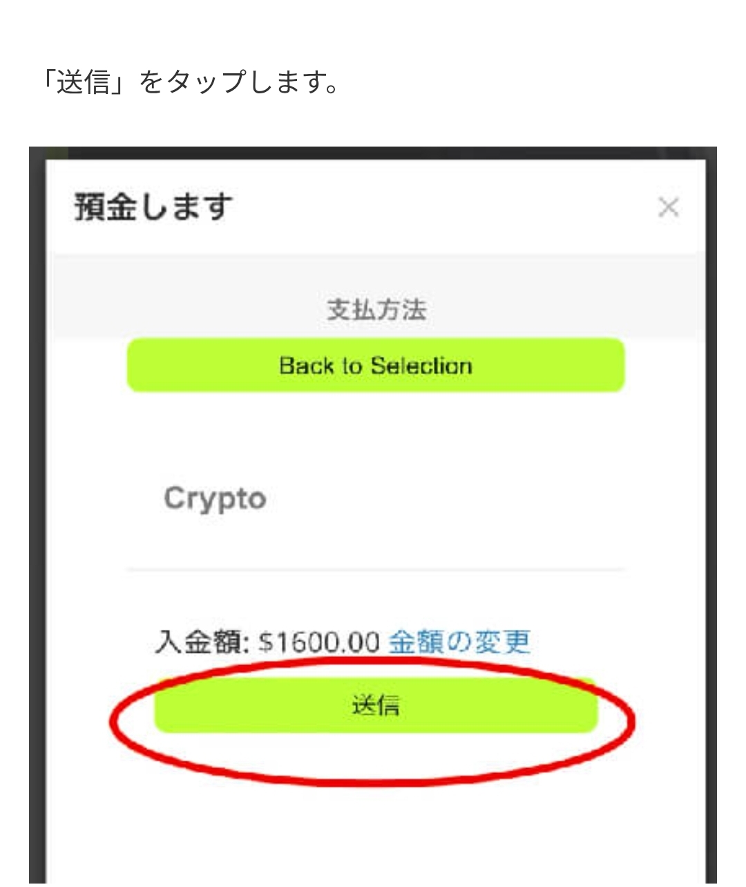 画面 5: 核对入金页面与转账条件