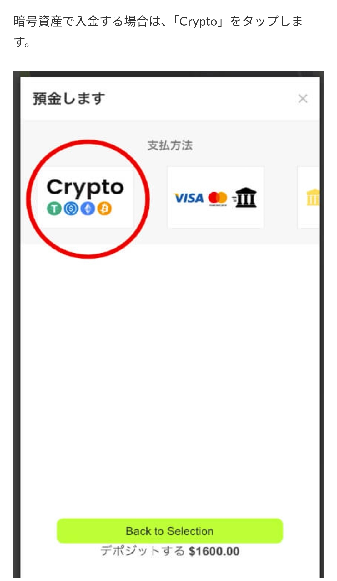 画面 6: 核对入金页面与转账条件