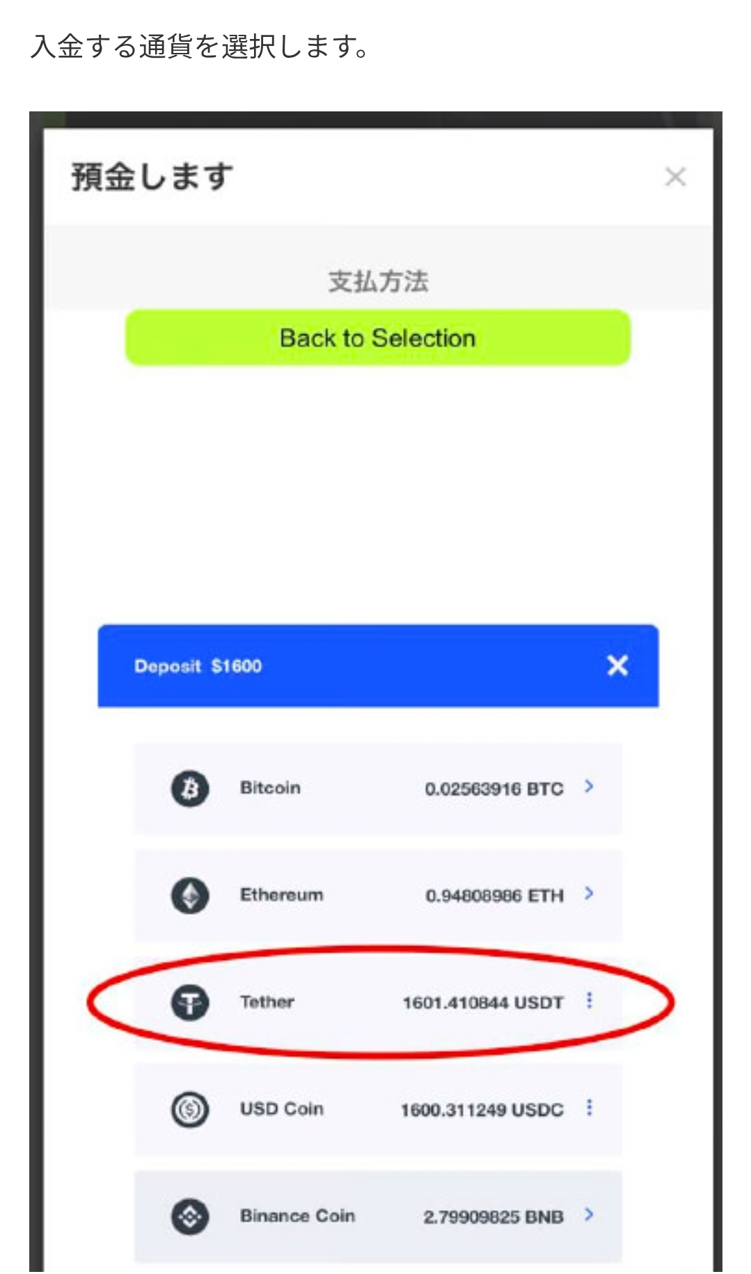 画面 7: 核对入金页面与转账条件