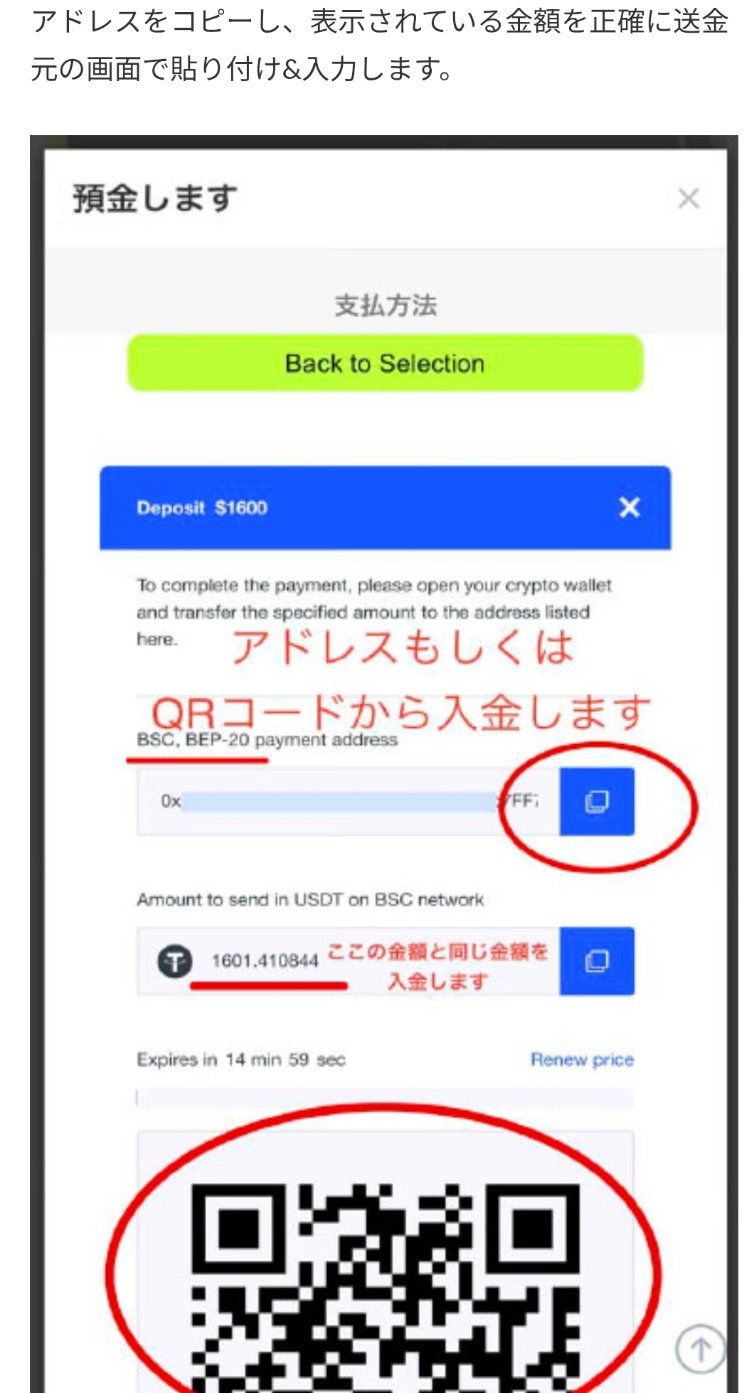 画面 9: 核对入金页面与转账条件