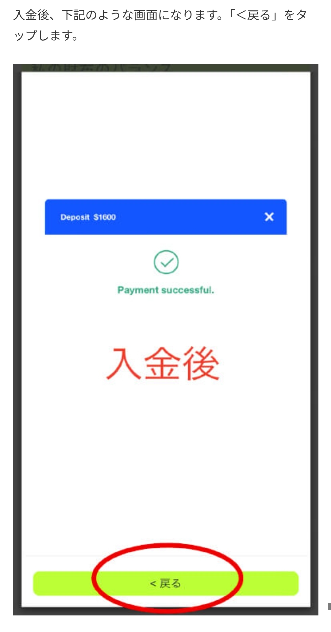画面 10: 核对入金页面与转账条件