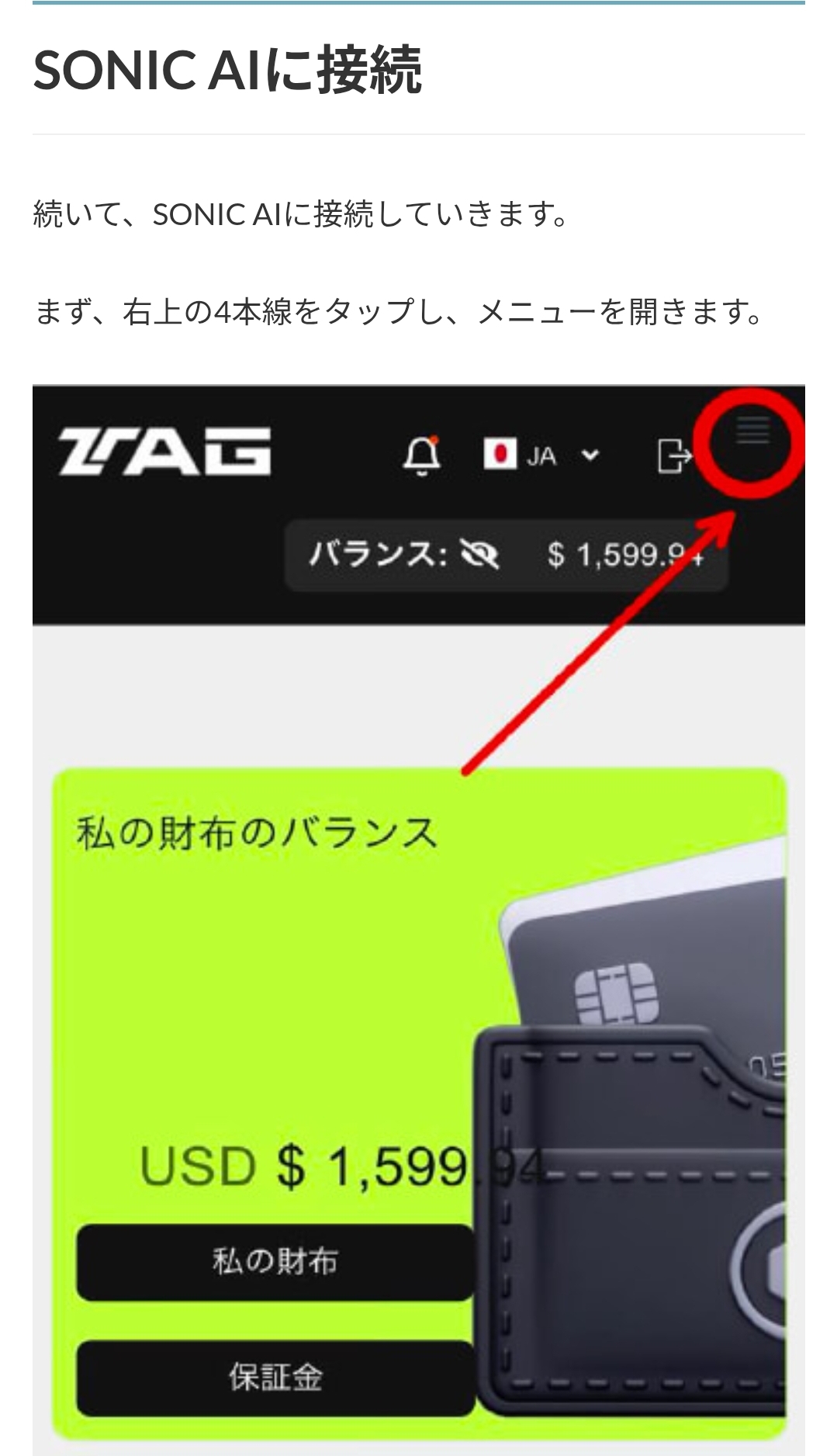 画面 12: 核对入金页面与转账条件