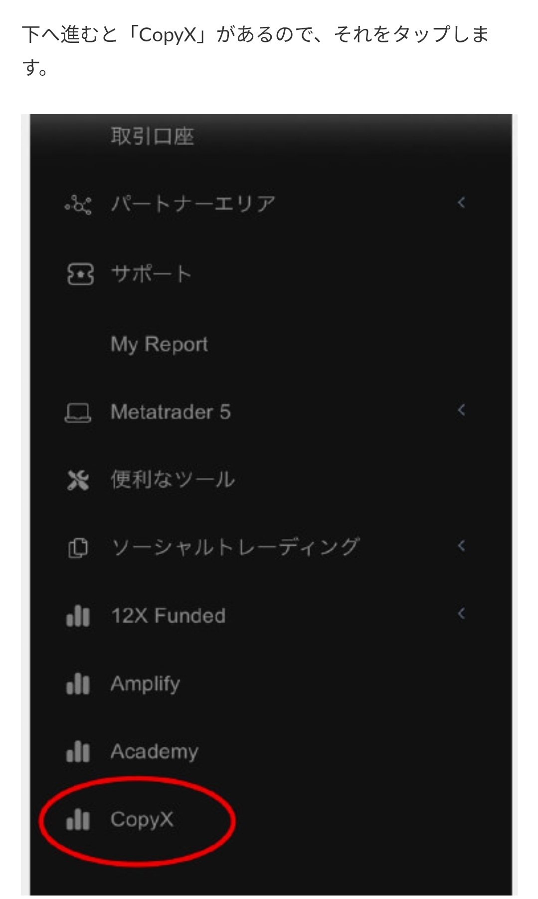 画面 14: 核对入金页面与转账条件