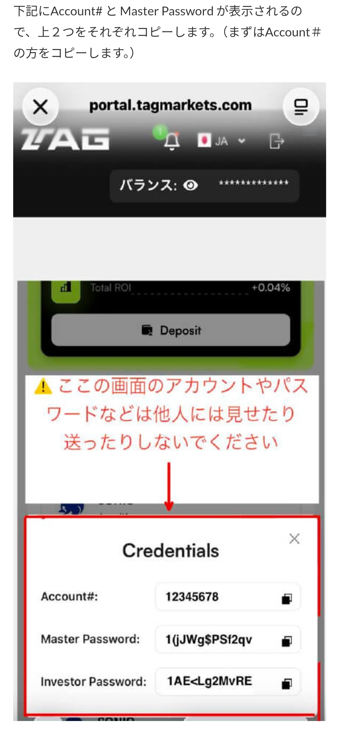 画面 31: 使用本人的账户资料登录 MT5